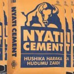 Job Vacancies at Lake Cement Limited