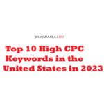Top 10 High CPC Keywords in the United States in 2023