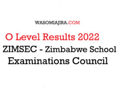 O Level Results 2022 ZIMSEC Zimbabwe School Examinations Council