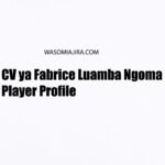 CV ya Fabrice Luamba Ngoma Player Profile